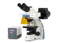 Oxion fluorescence / Lab Science Microscopes